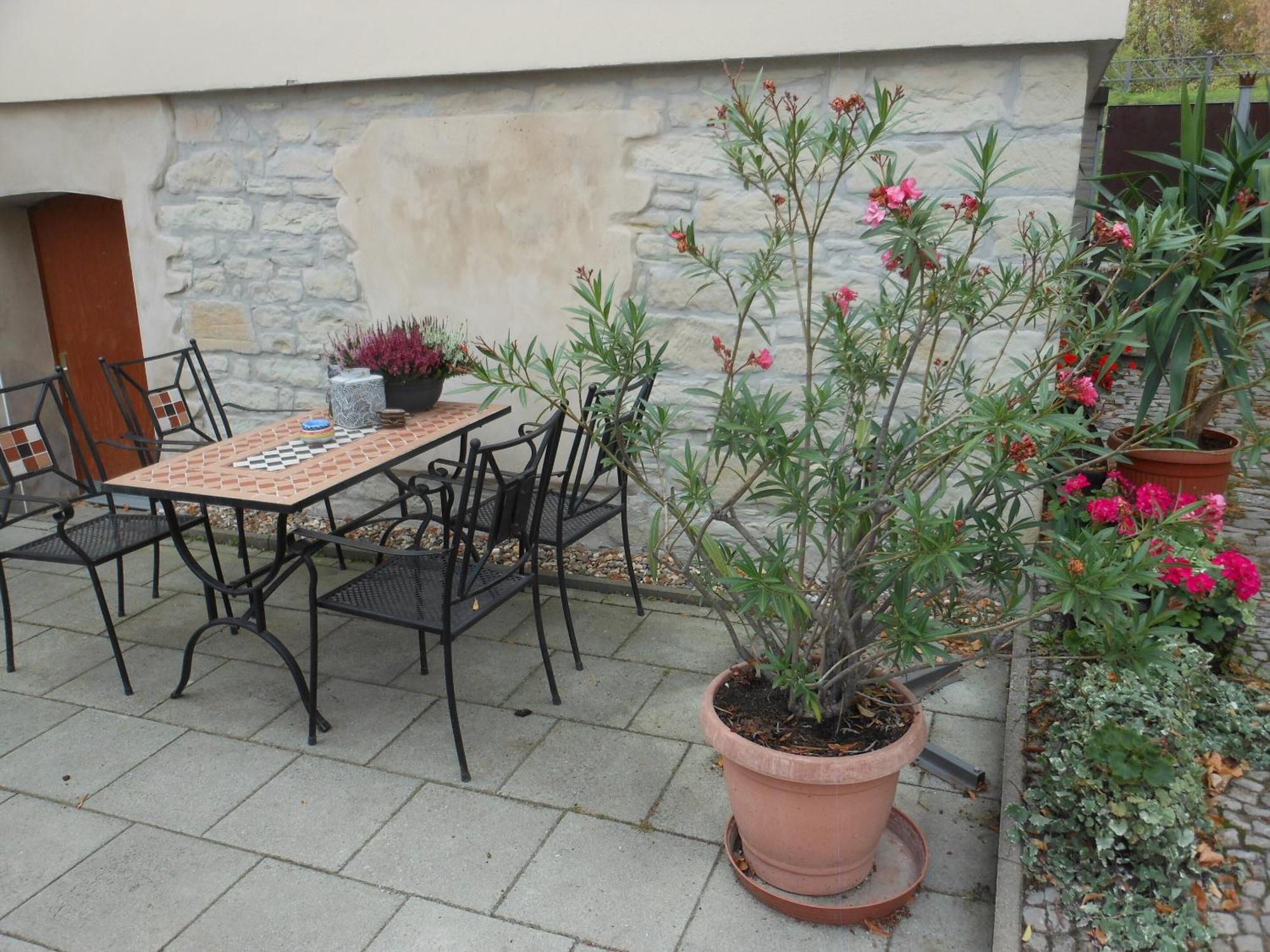 Pension Am Werder Bernburg Εξωτερικό φωτογραφία